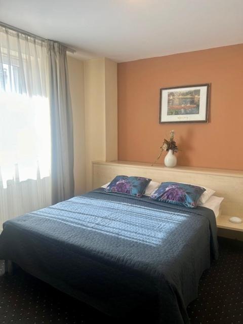טימישוארה Hotel Pacific מראה חיצוני תמונה