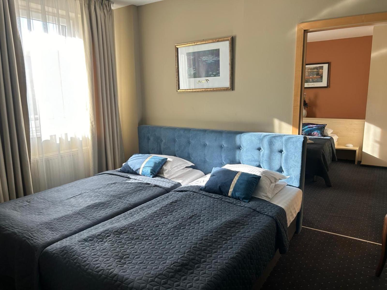 טימישוארה Hotel Pacific מראה חיצוני תמונה